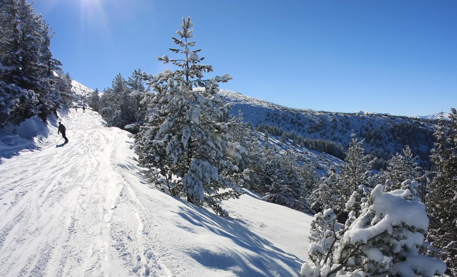 Charming One Bed Apartment 423 In Main Flora Building Borovets Eksteriør bilde