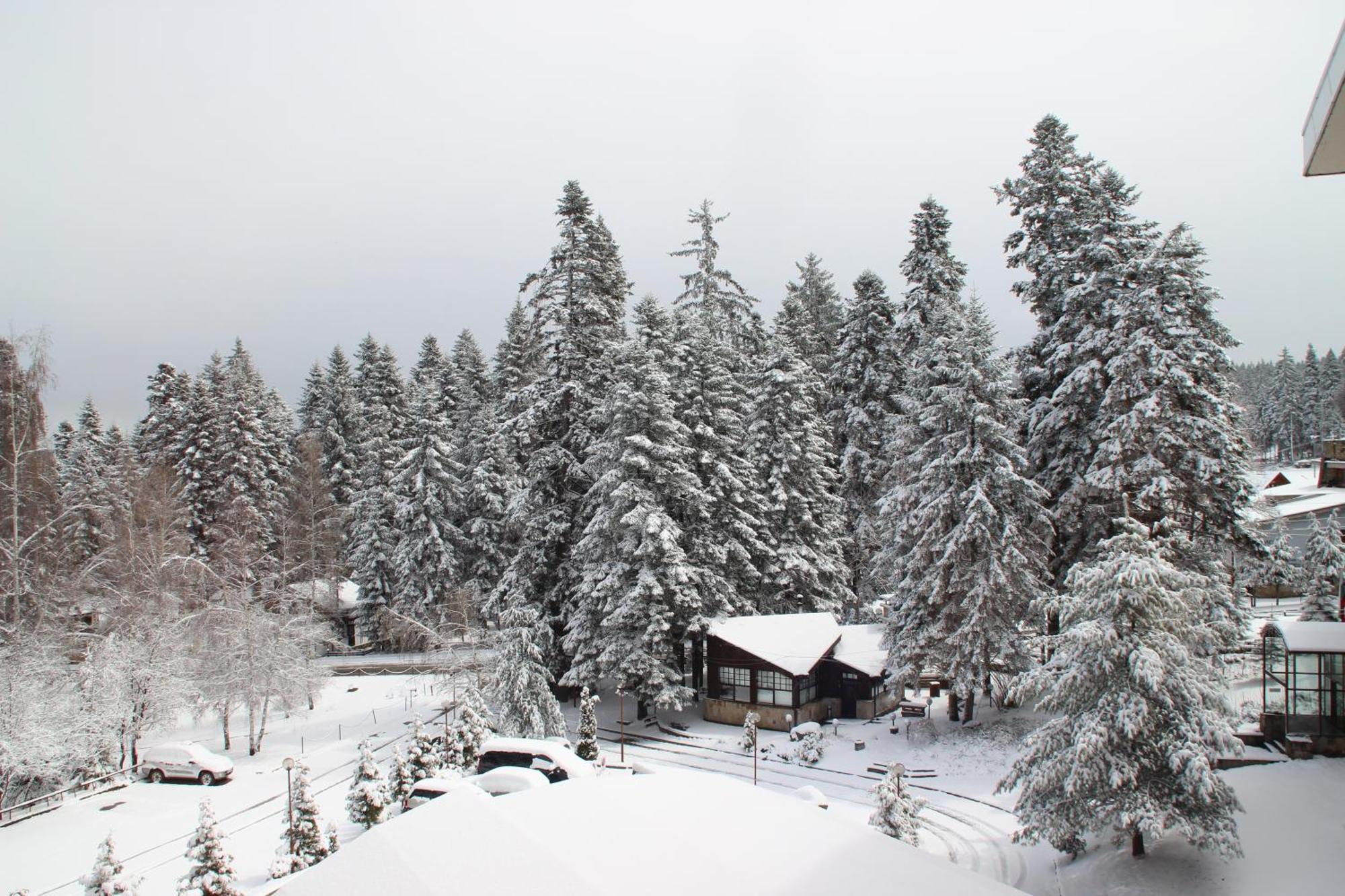 Charming One Bed Apartment 423 In Main Flora Building Borovets Eksteriør bilde